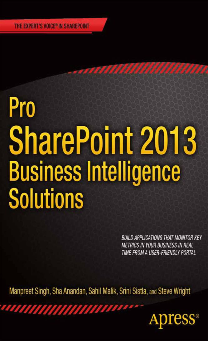 Pro SharePoint 2013 business intelligence solutions - image 1