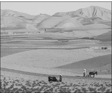 The barren landscape around the village of Zhangjiashu A translation of just - photo 3