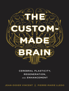 Jean-Didier Vincent - The Custom-Made Brain: Cerebral Plasticity, Regeneration, and Enhancement