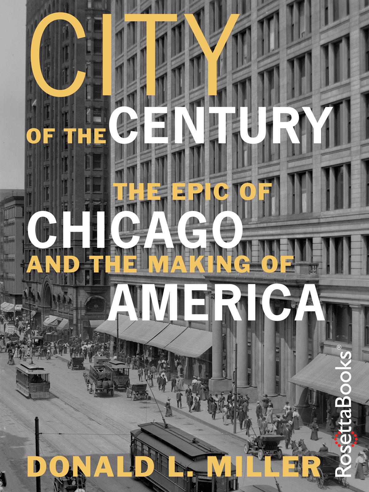 City of the Century The Epic of Chicago and the Making of America Donald - photo 1