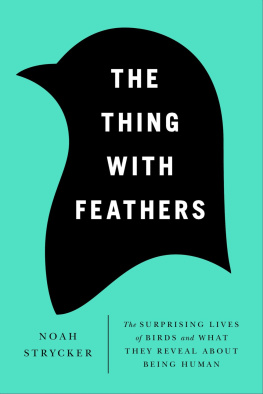 Noah Strycker - The Thing with Feathers: The Surprising Lives of Birds and What They Reveal About Being Human