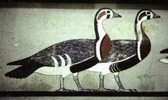 Maydum geese Egypt c 2620 BC from the tomb of Nefermaat and Itet Further - photo 6