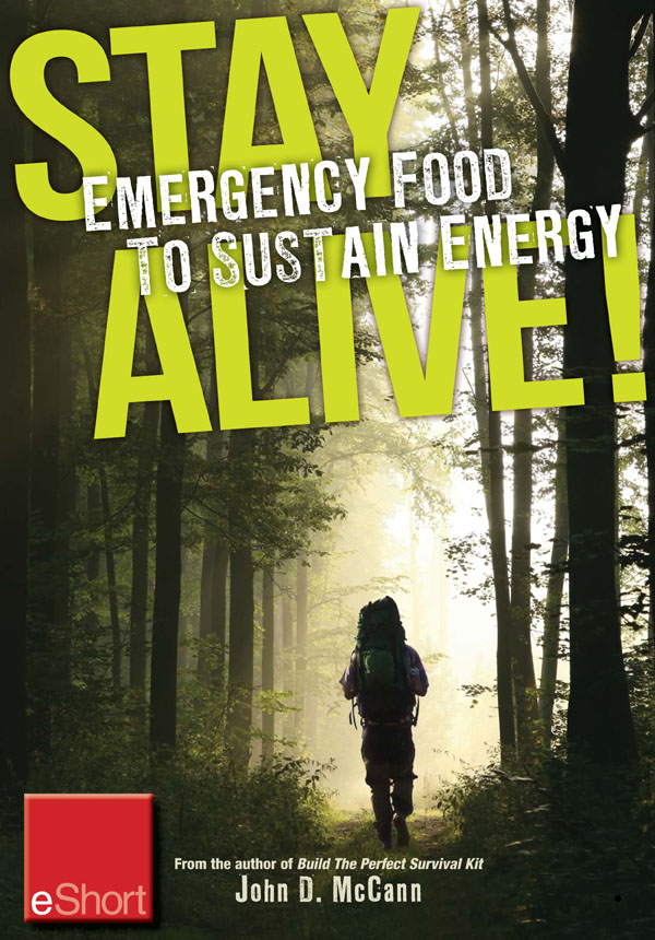 Stay Alive Food to Sustain Energy Although not the most important aspect of - photo 1