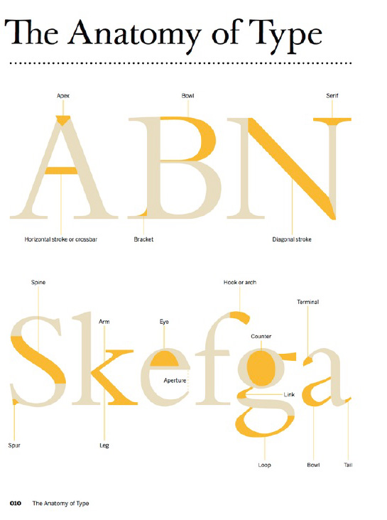 Parts of typefaces and their names from The Anatomy of Type pp1011 FontShop - photo 3