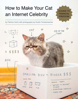 Patricia Carlin How to Make Your Cat an Internet Celebrity: A Guide to Financial Freedom