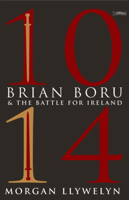 Morgan Llywelyn 1014: Brian Boru & the Battle for Ireland