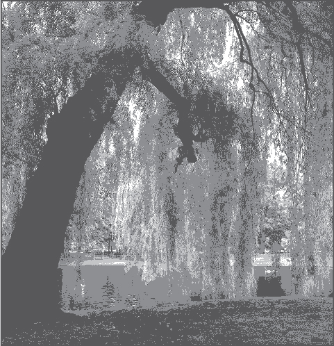 weeping willow It isnt for the moment you are stuck that you need - photo 2