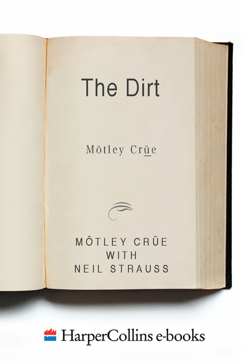 THE DIRT - photo 1