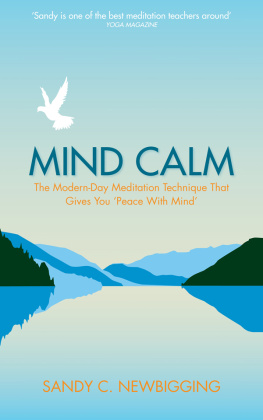 Sandy Newbigging - Mind Calm: The Modern-Day Meditation Technique that Proves the Secret to Success is Stillness