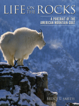 Bruce L. Smith Life on the Rocks: A Portrait of the American Mountain Goat