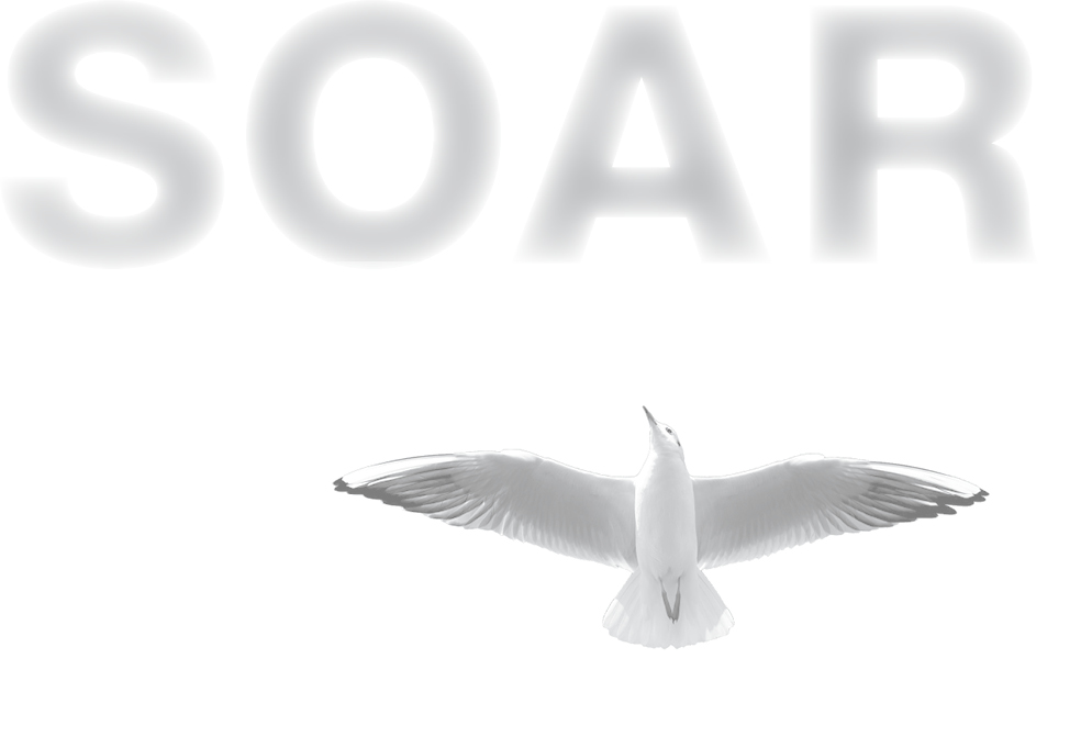 Soar The Breakthrough Treatment For Fear Of Flying - image 2