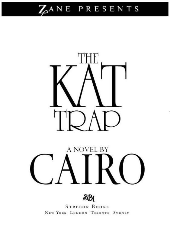 Dear Reader There is only one word to describe this book Hot Cairo has - photo 1