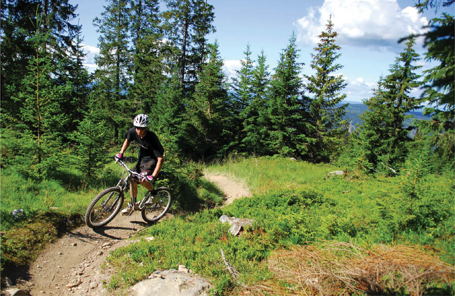 Mountain biking is for everyone its fun healthy and environmentally friendly - photo 4