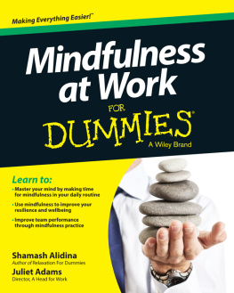 Shamash Alidina - Mindfulness at Work For Dummies