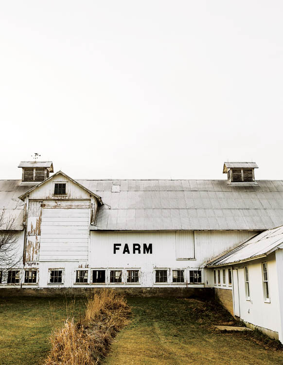 Contents Foreword by Joel Salatin Most Americans today fear food because they - photo 3