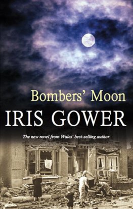 Iris Gower - Bombers’ Moon