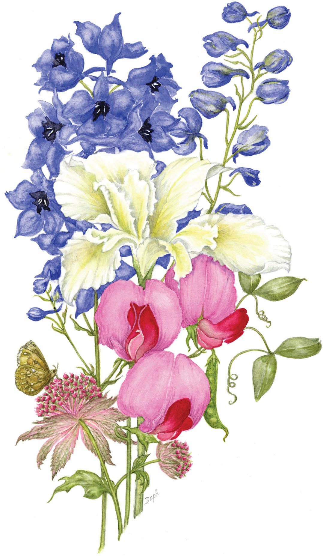 Botanical painting with watercolour - image 2