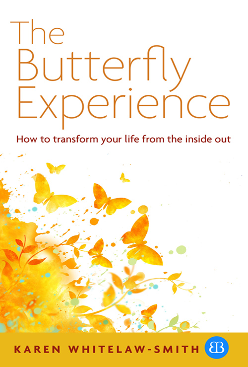 The Butterfly Experience The Butterfly Experience How to transform your life - photo 1