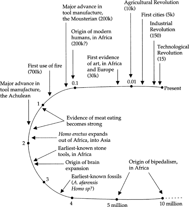 PREFACE It is every anthropologists dream to unearth a complete skeleton of an - photo 4