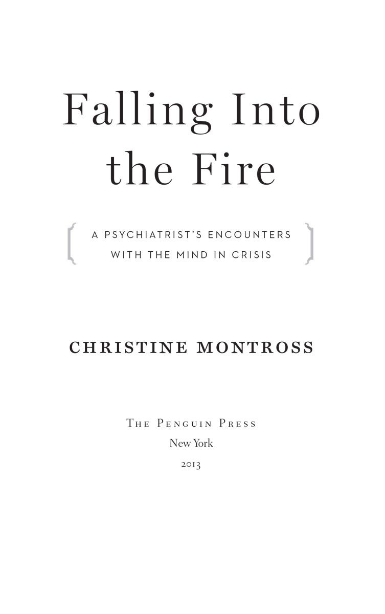 Falling Into the Fire A Psychiatrists Encounters with the Mind in Crisis - image 1