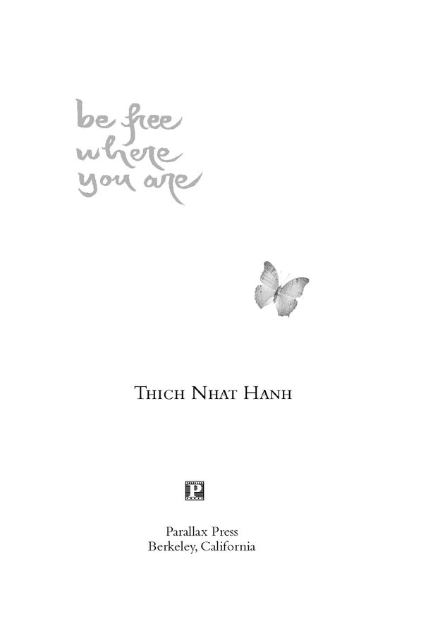 Table of Contents Other Parallax Press Books by Thich Nhat Hanh Being Peace - photo 2