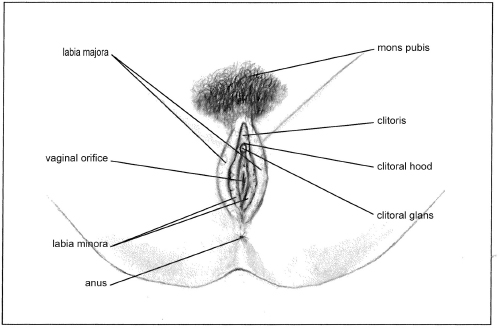 S TAGES OF AN ORGASM Having that knowledge from the start will allow you to - photo 3