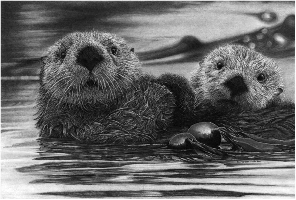 FOR GENERATIONS TO COME SEA OTTERS PREVIOUS SPREAD Kevin Johnson Graphite - photo 3