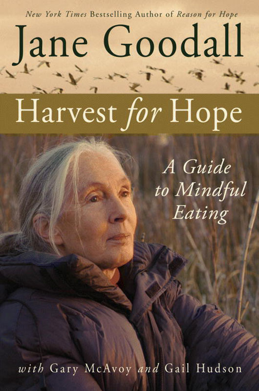 Copyright 2005 by Jane Goodall with Gary McAvoy and Gail Hudson All rights - photo 1