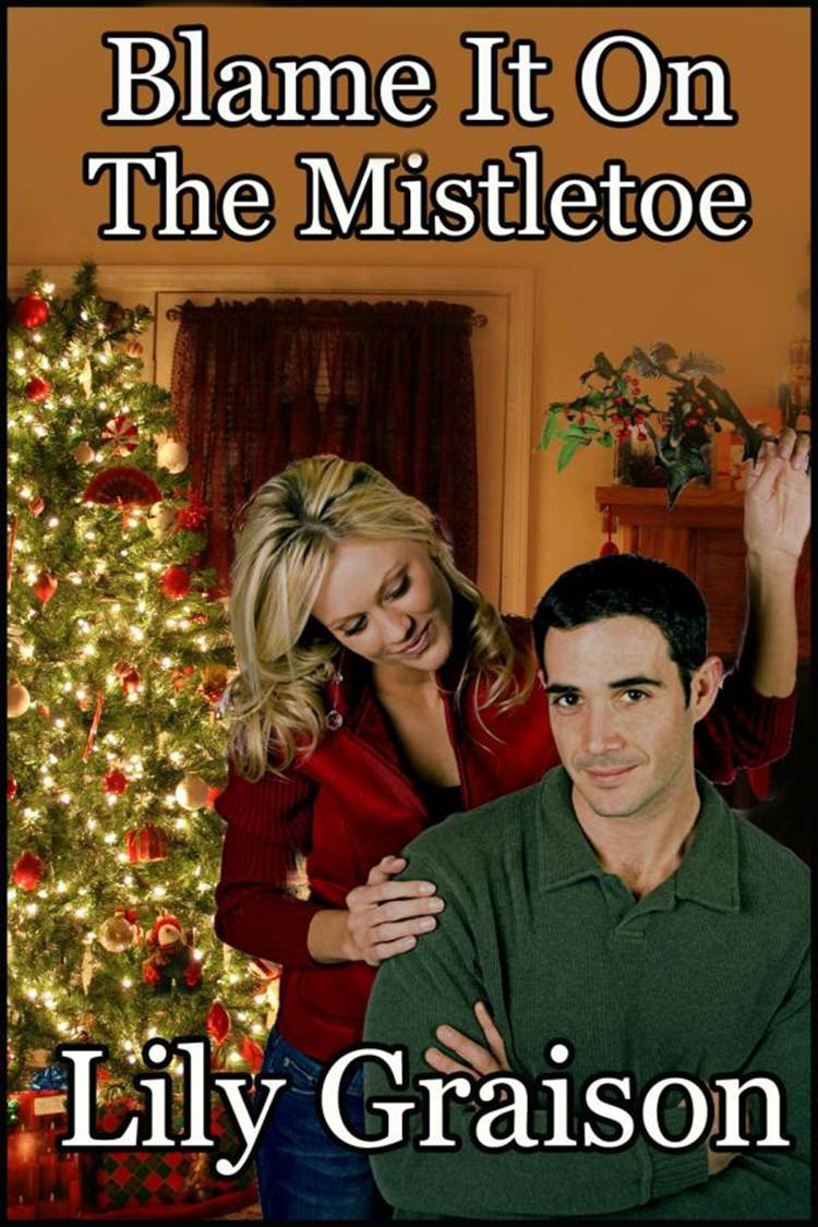 Lily Graison Blame It On The Mistletoe Copyright C 2009 Lily Graison - photo 1