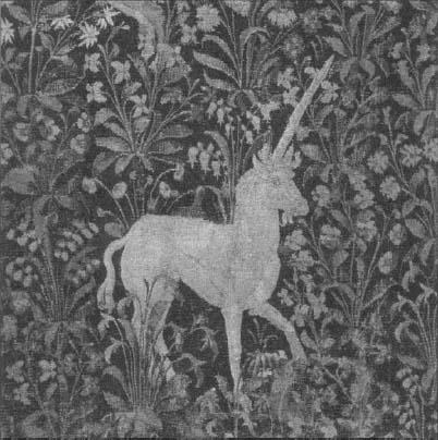 This is not a squirrel see p 44 Detail from Allegorical Millefleurs - photo 1