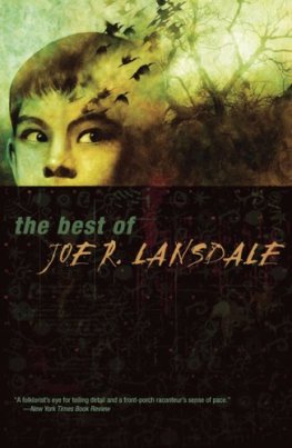 Joe Lansdale - The Best of Joe R. Lansdale