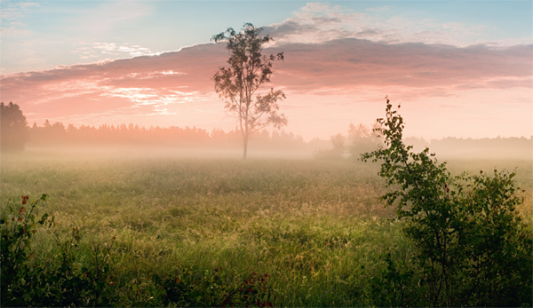 Dawn at the firing range of Ut a small island east of Stockholm in early - photo 3