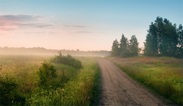 Dawn at the firing range of Ut a small island east of Stockholm in early - photo 4