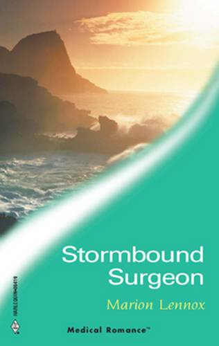 Marion Lennox Stormbound Surgeon 2004 Dear Reader We have our summer holidays - photo 1