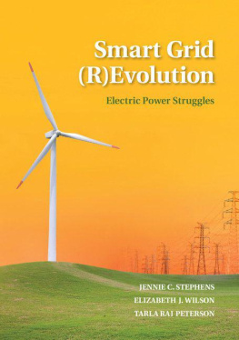 Jennie Stephens - Smart Grid (R)Evolution: Electric Power Struggles