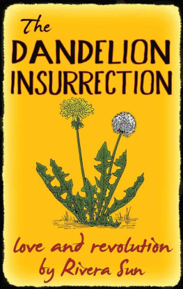 Rivera Sun - The Dandelion Insurrection - love and revolution