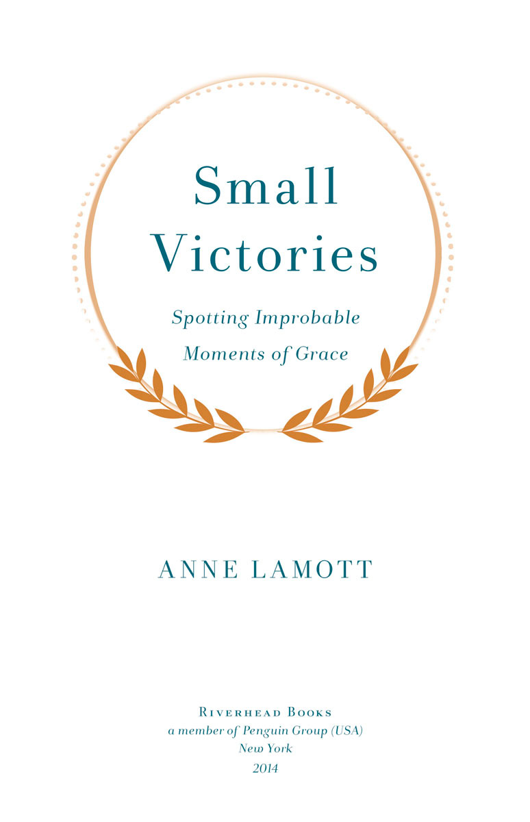 Small Victories Spotting Improbable Moments of Grace - image 2