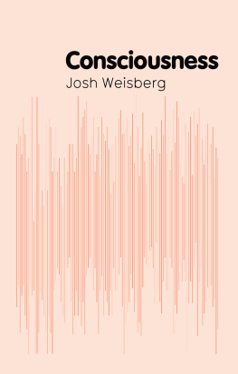 Josh Weisberg Consciousness
