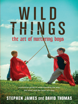 Stephen James - Wild Things: The Art of Nurturing Boys