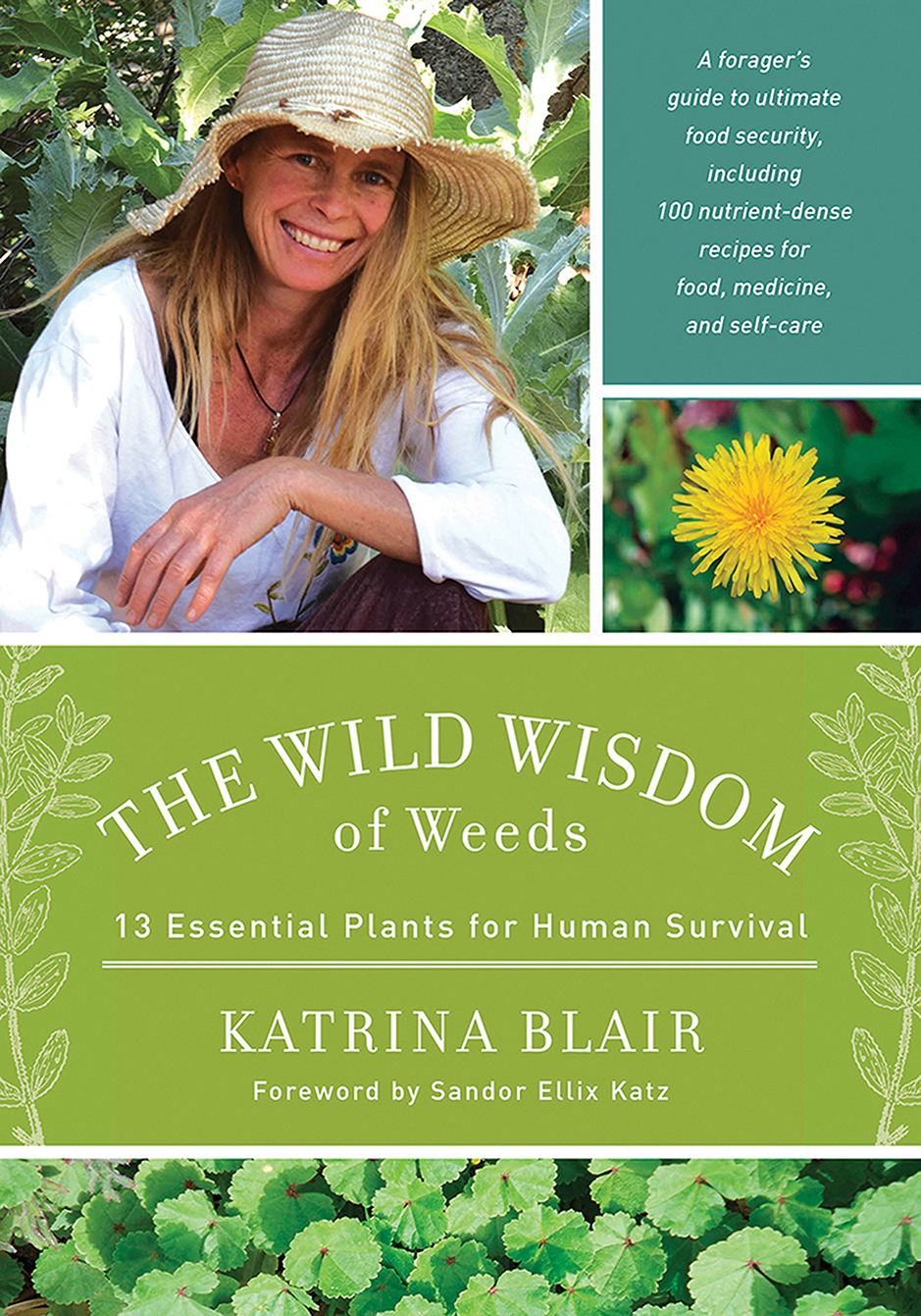 Advance Praise for The Wild Wisdom of Weeds Katrina Blair keeps it really - photo 1