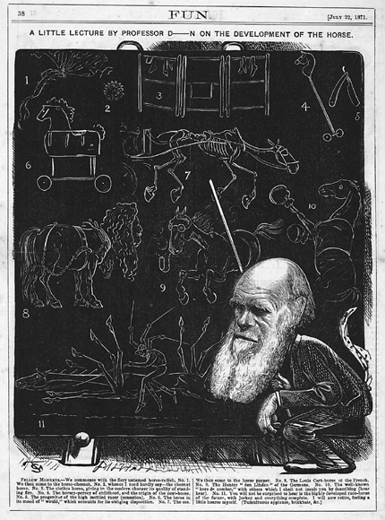 Figure 1 Caricature from the July 22 1871 issue of Fun magazine Darwin - photo 2