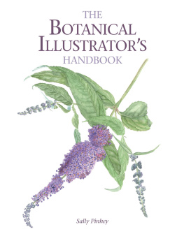 Sally Pinhey - The Botanical Illustrators Handbook