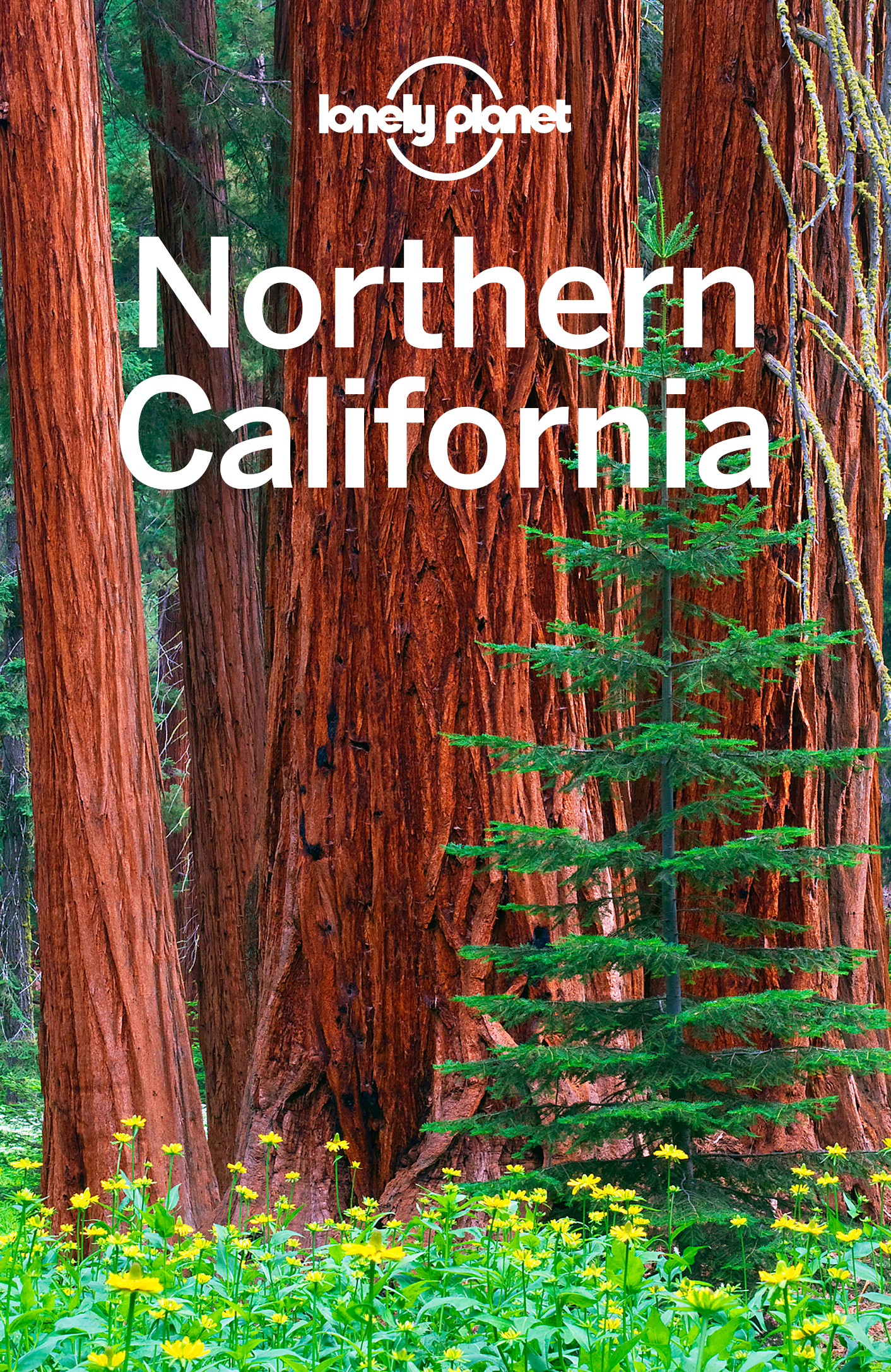 Lonely Planet Northern California - image 1