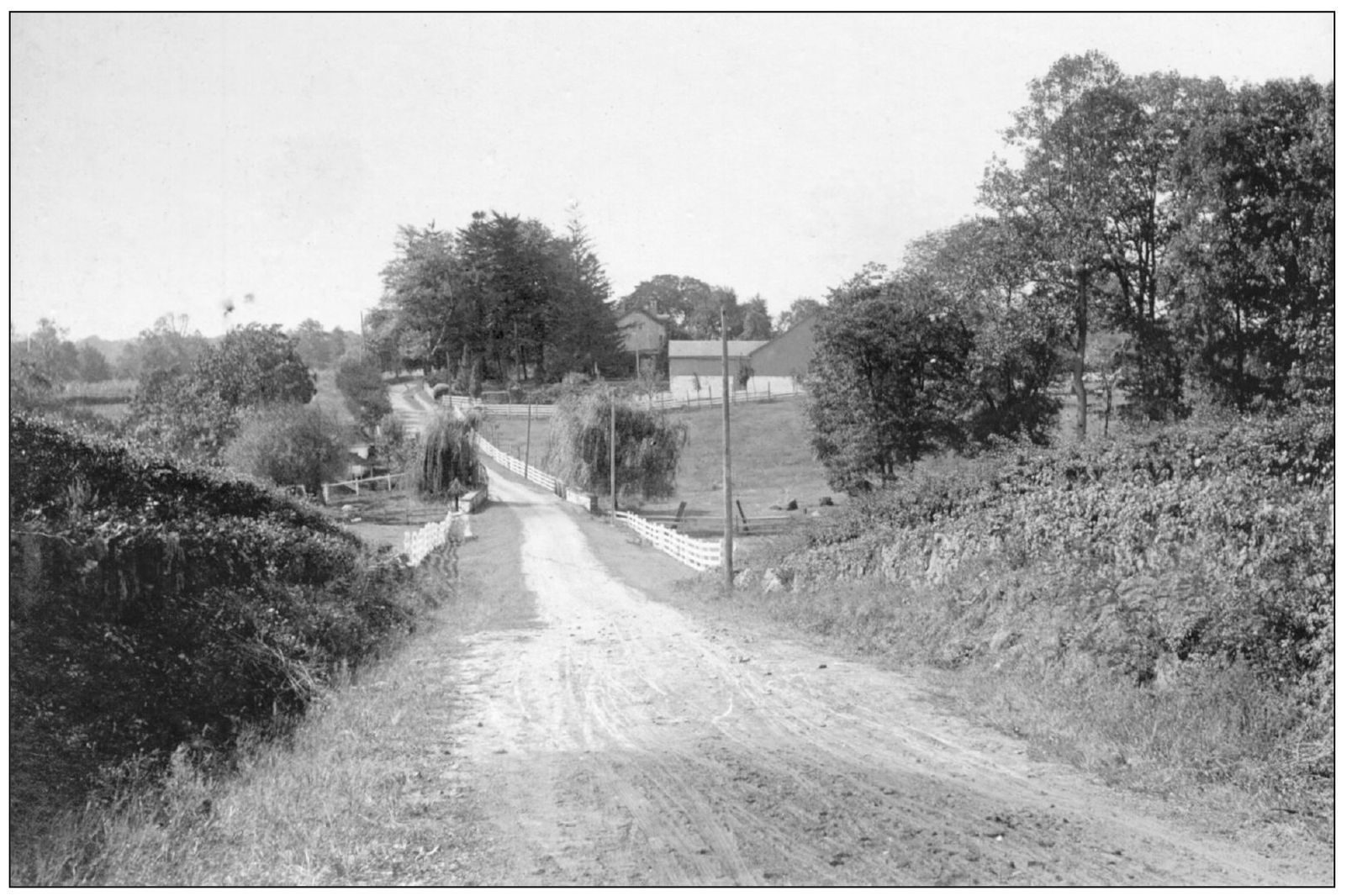 Taken just on the outskirts of Arden this 1906 photograph of Veale Road from - photo 11