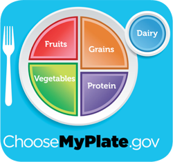 Choose MyPlate for Healthful Eating MyPlate is the USDA guide to building a - photo 4