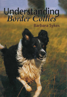 Barbara Sykes Understanding Border Collies