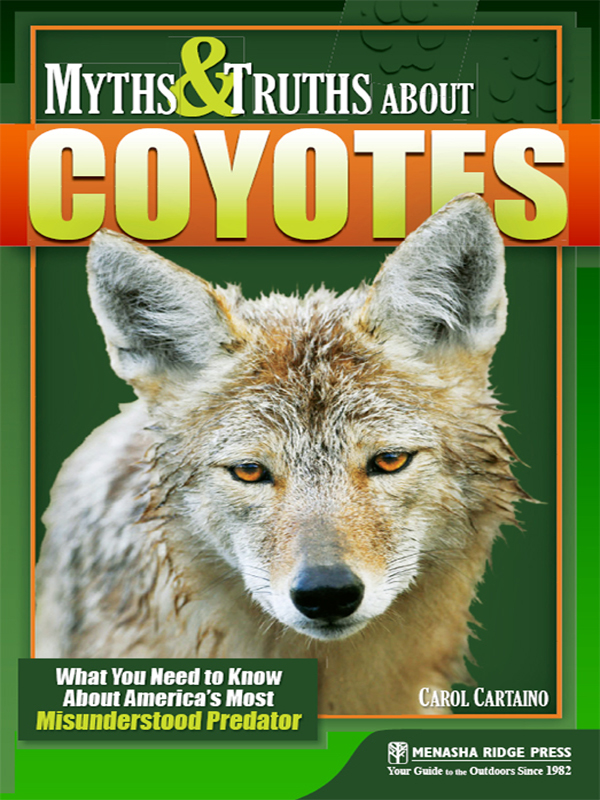 Myths Truths about Coyotes Copyright 2011 by Carol Cartaino All rights - photo 1