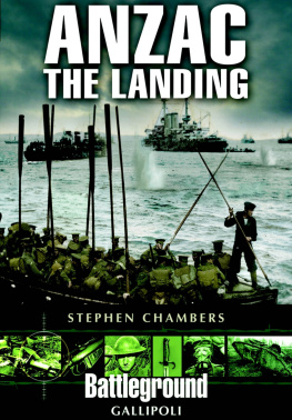 Stephen Chambers Anzac - The Landing: Gallipoli
