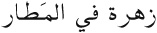 Easy Arabic Reader - image 14