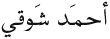 Easy Arabic Reader - image 35